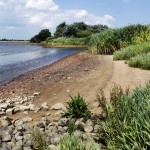 elbstrand_20100716_01