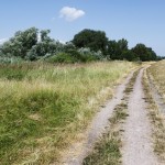 elbstrand_20100716_04