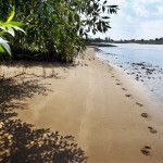 elbstrand_20100716_05