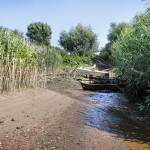 elbstrand_20100716_06