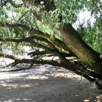elbstrand_20100716_07