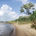 elbstrand_20100716_08