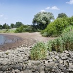 elbstrand_20100716_09