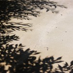 elbstrand_20100716_11
